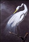 Great Egret by John James Audubon